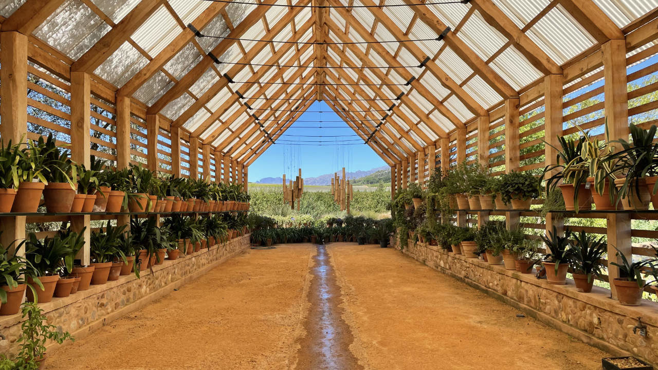Babylon Storen Weingut Garden Route